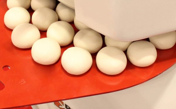 Erika_Dough-Balls Erika Record | Full Divider/Rounder