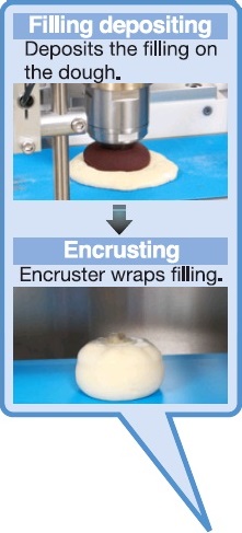 Flex Encruster Rheon