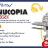 KN-050-NEW-sticker-Rheon-Κωστόπουλος Rheon KN 050