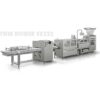 VX 222 Twin Divider + Puncher + Variety Model