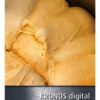csm_Kronos_digital_v13_EN_88b05cb87b Ταχυζυμωτήριo Kronos DIGITAL Kemper