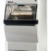 newself_big JAC Self Service New Self
