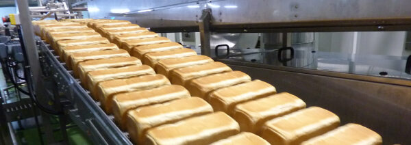 WP Toast Γραμμές Παραγωγής Τοστ